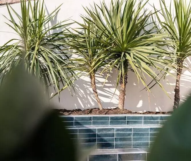 Aamiaismajoitus (B&B) La Maison De Jean By Maison Bacou