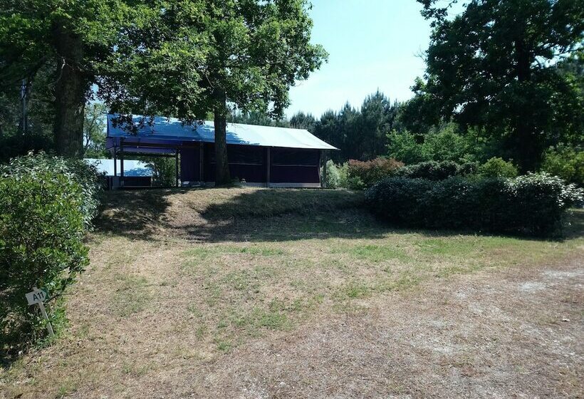 Отель Camping Les Pins De Sel