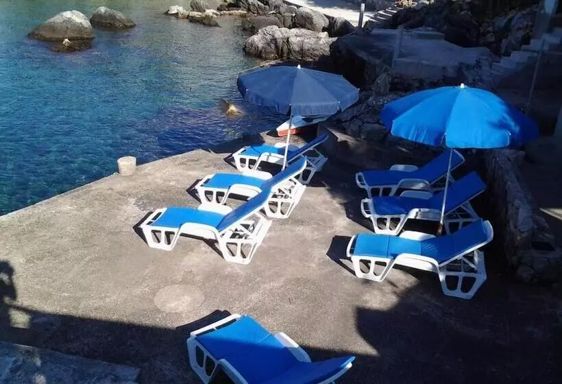 Majatalo Apartments Rašica Molunat