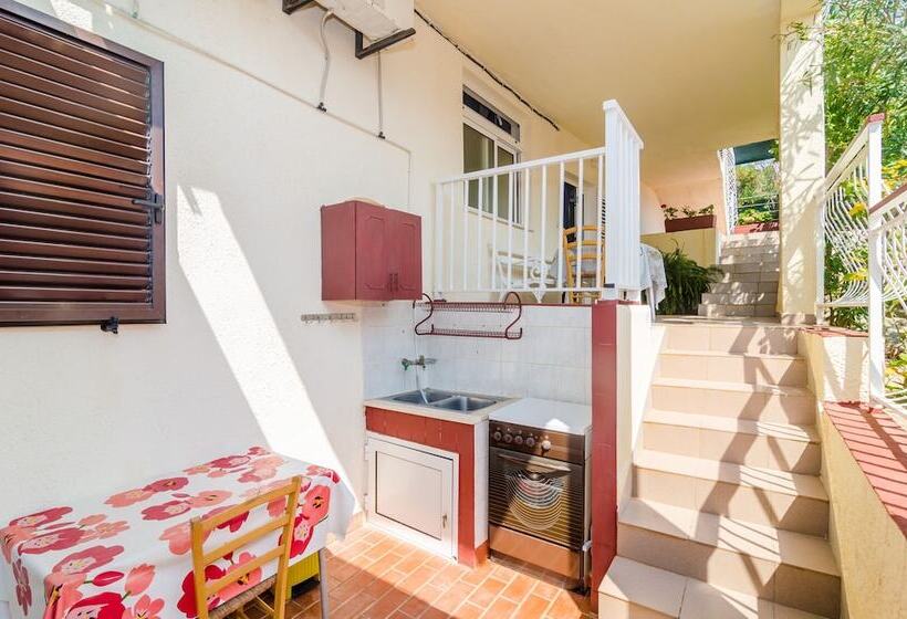 펜션 Apartments Rašica Molunat