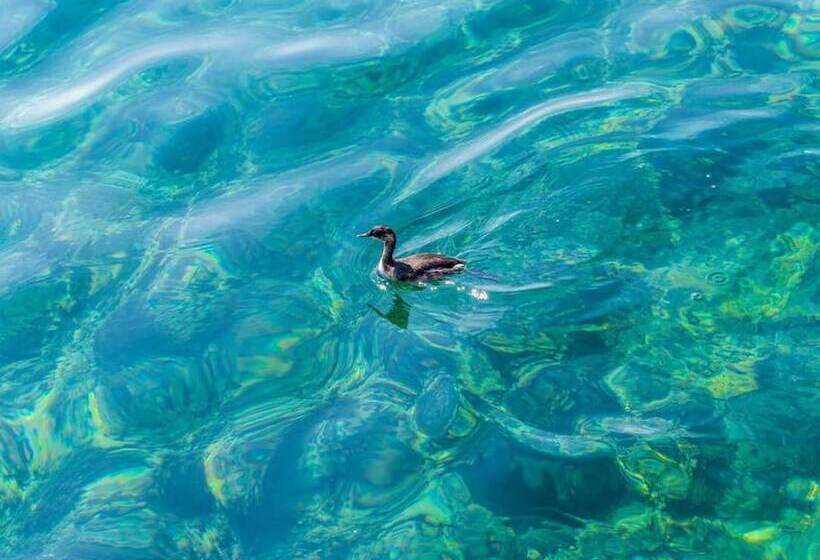 펜션 Apartments Rašica Molunat