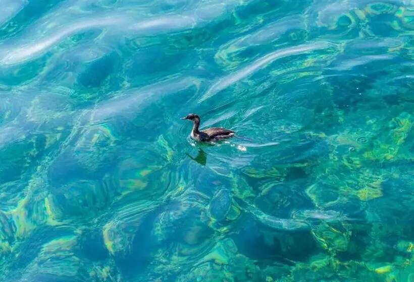 Majatalo Apartments Rašica Molunat