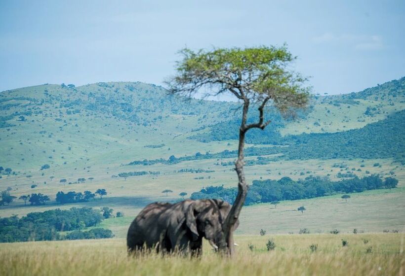 هتل Endeem Mara Resort