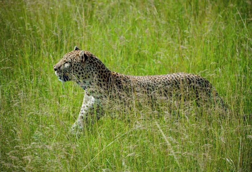 هتل Endeem Mara Resort