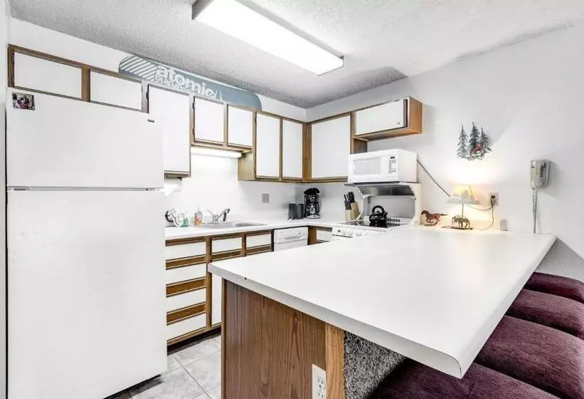 ホテル Snowblaze Condominiums E103