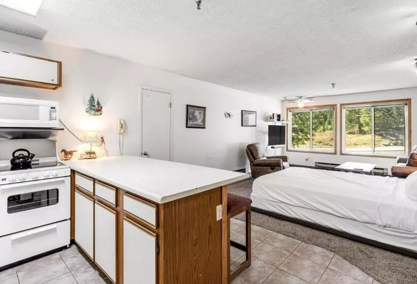 ホテル Snowblaze Condominiums E103