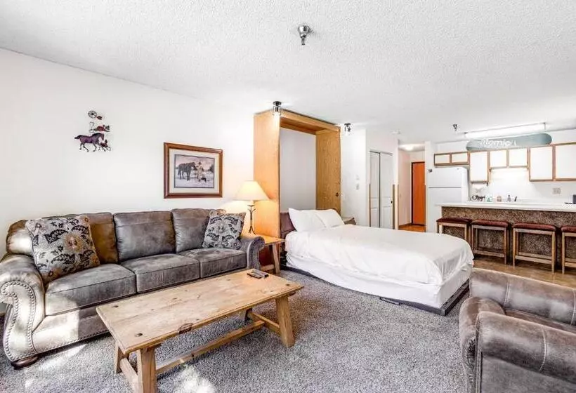 ホテル Snowblaze Condominiums E103