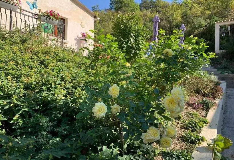 Maison Castellane Chambre D Hotes B&b