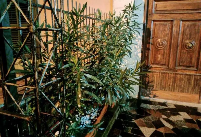 ペンション Le Stanze Di Ginevra   Santa Maria A Vico