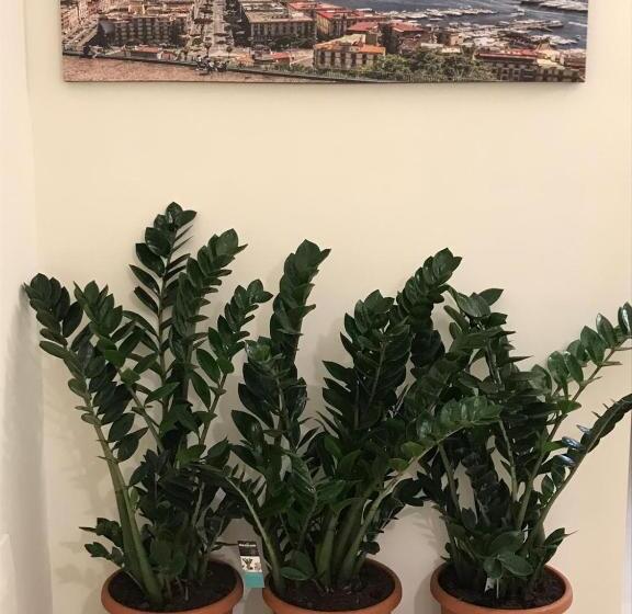 تختخواب و صبحانه Costa Apartment Naples