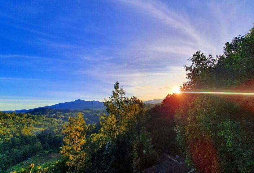 Bed and Breakfast Guest Inn Avendra