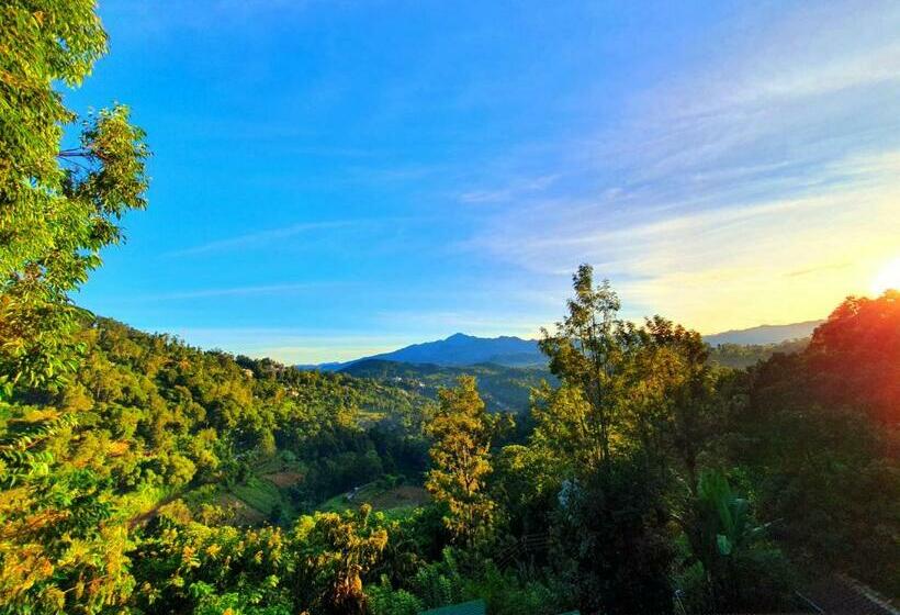 Bed and Breakfast Guest Inn Avendra