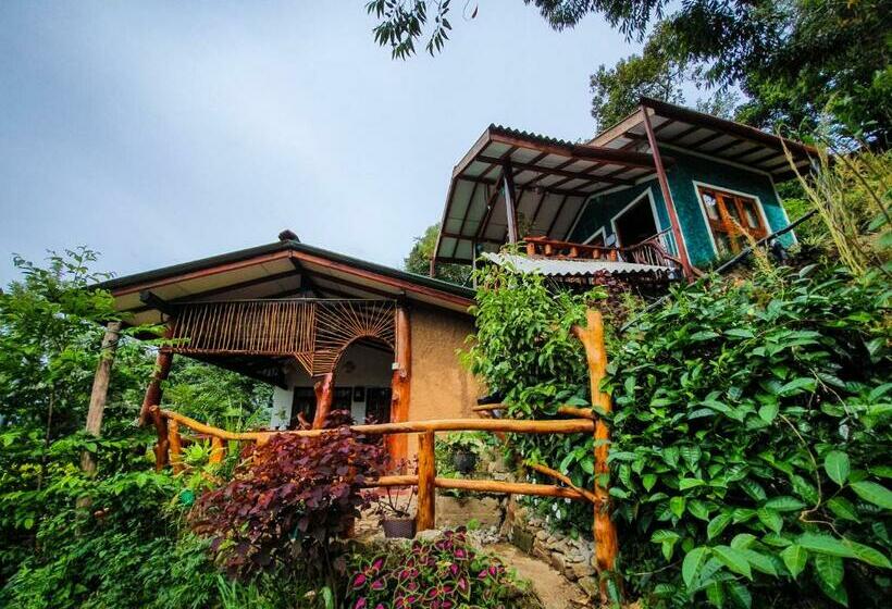 Bed and Breakfast Guest Inn Avendra