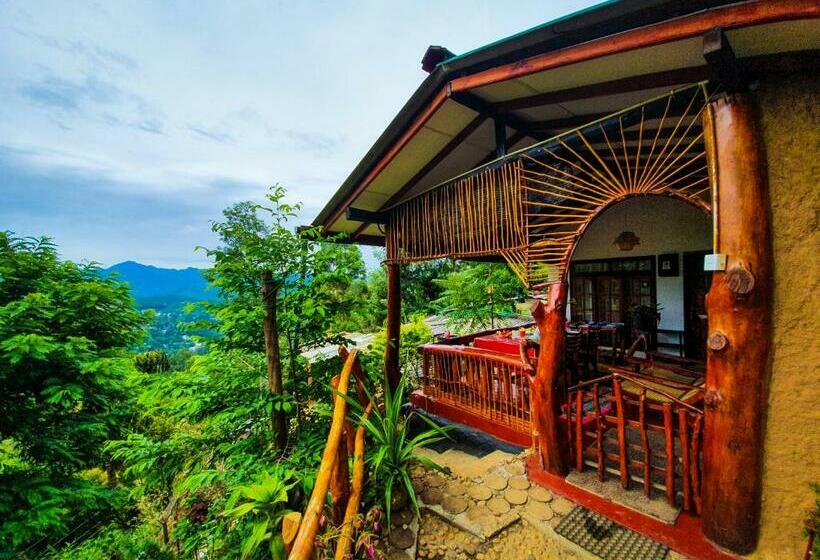 Bed and Breakfast Guest Inn Avendra