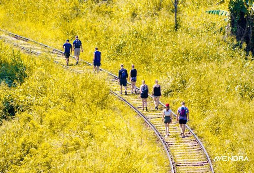 Bed and Breakfast Guest Inn Avendra