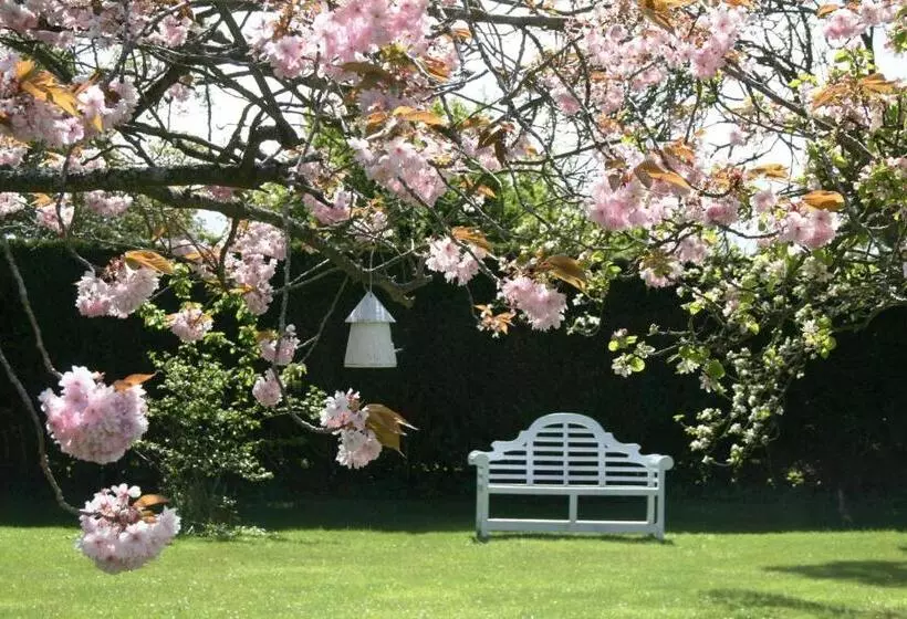 ベッドアンドブレックファースト The Old Parsonage Country House