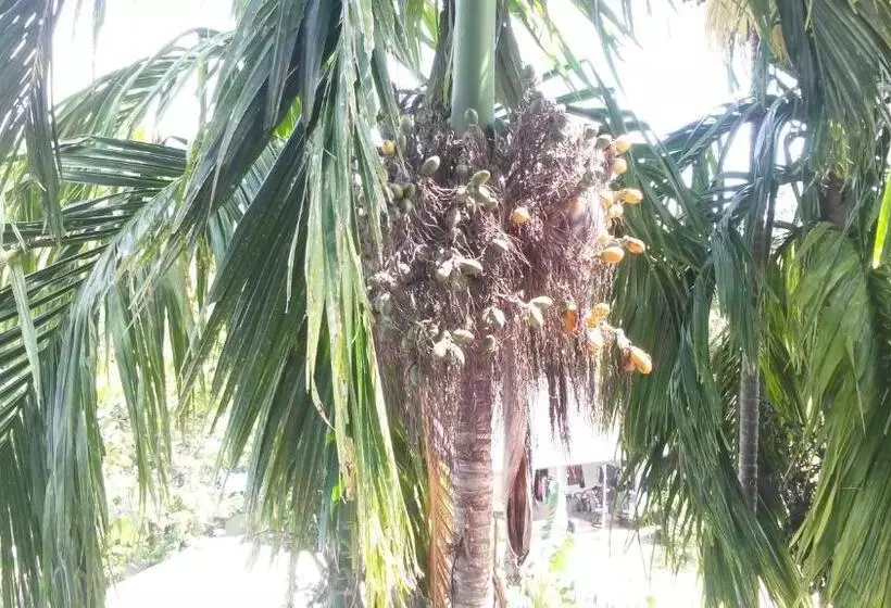 ホテル Rung Phangan