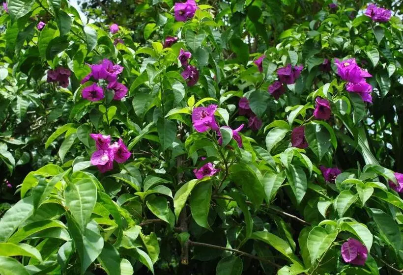 ペンション Grey House