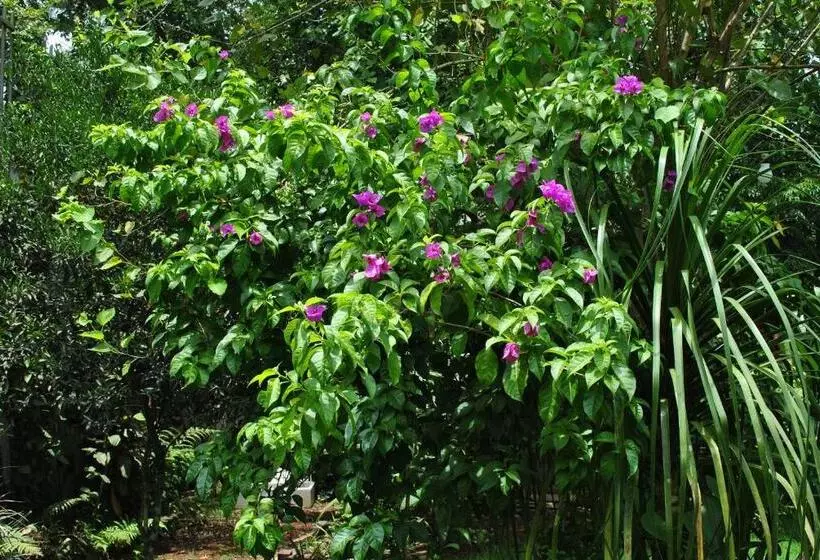 ペンション Grey House