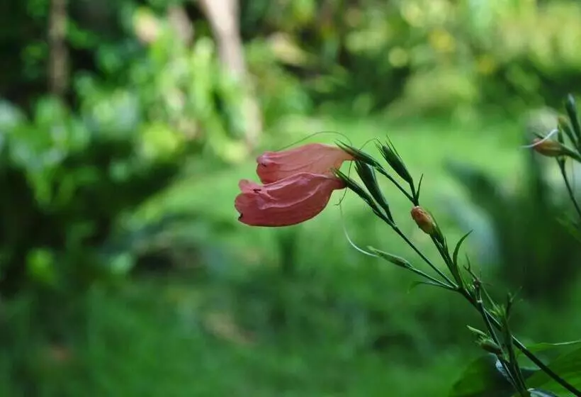 ペンション Grey House