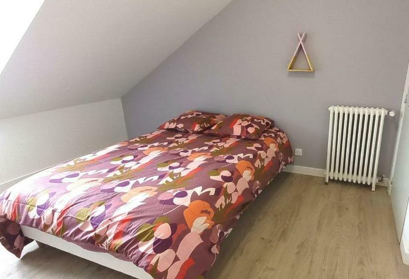 بنسيون Histoire De Loire   Le Futreau