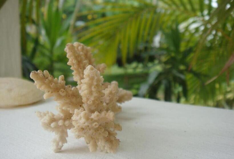 پانسیون La Perla Holiday Apartments