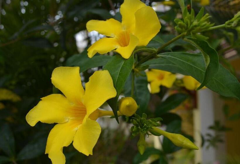 پانسیون La Perla Holiday Apartments