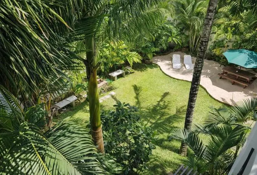 پانسیون La Perla Holiday Apartments