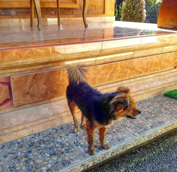 بنسيون Rusma House Ubud