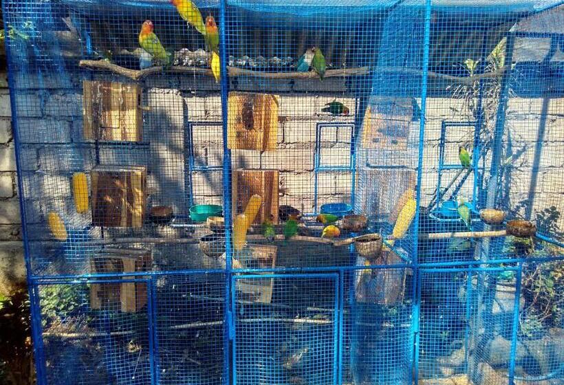 بنسيون Rusma House Ubud