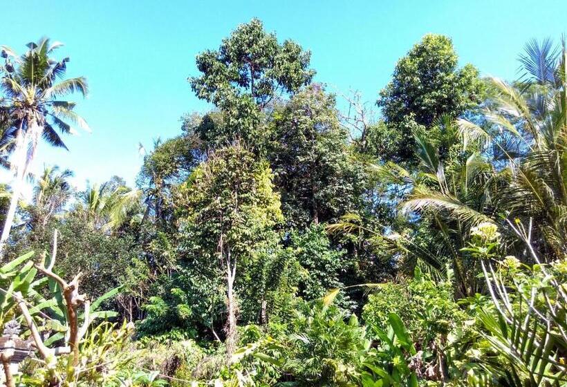 بنسيون Rusma House Ubud