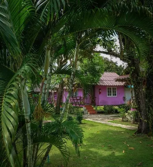 استراحتگاه The Mermaid House