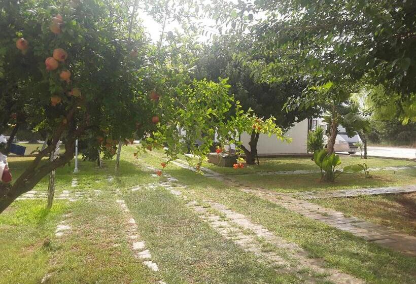 Nocleg ze śniadaniem Aranceto Hotel Agriturismo