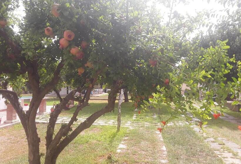 Nocleg ze śniadaniem Aranceto Hotel Agriturismo