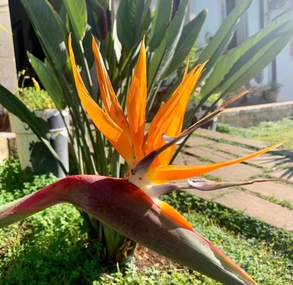 Nocleg ze śniadaniem Aranceto Hotel Agriturismo