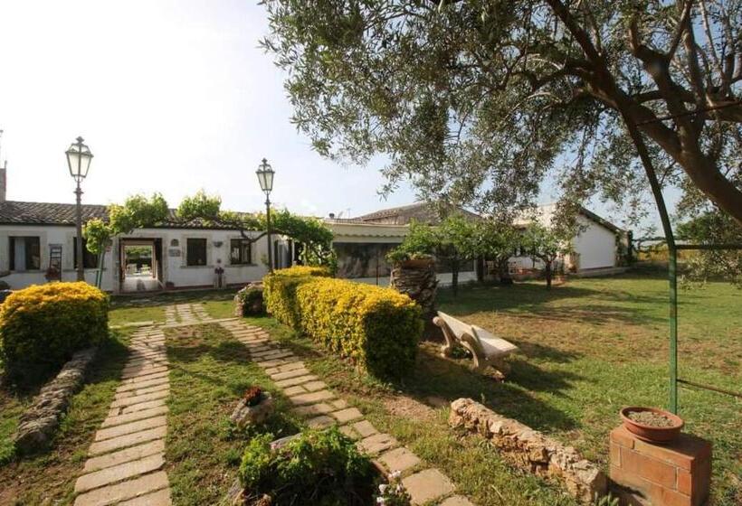 Nocleg ze śniadaniem Aranceto Hotel Agriturismo