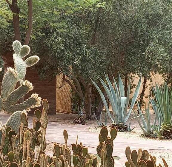 مبيت وإفطار Manzil La Tortue