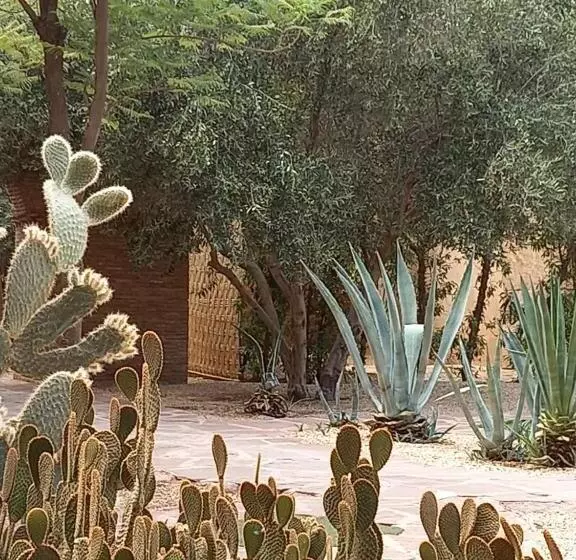 Aamiaismajoitus (B&B) Manzil La Tortue