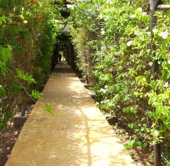 مبيت وإفطار Manzil La Tortue