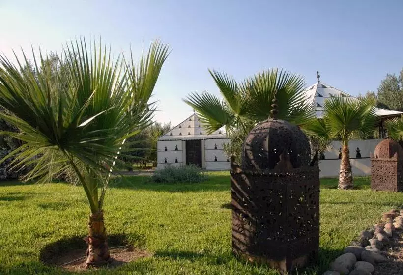 Aamiaismajoitus (B&B) Manzil La Tortue