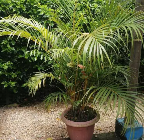 Kapselihotelli Campestre La Maria