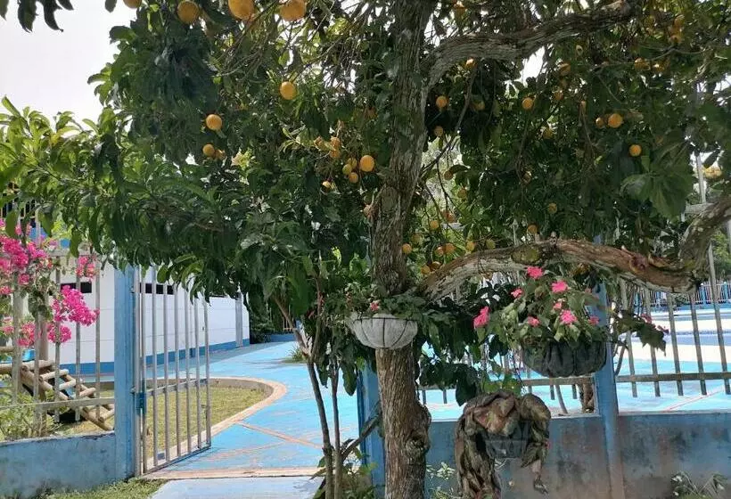 Kapselihotelli Campestre La Maria