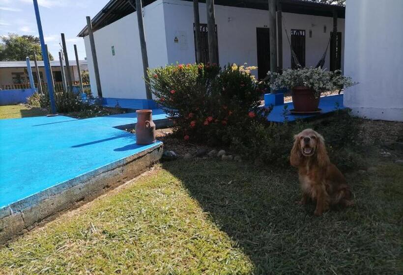 هتل کپسول Campestre La Maria