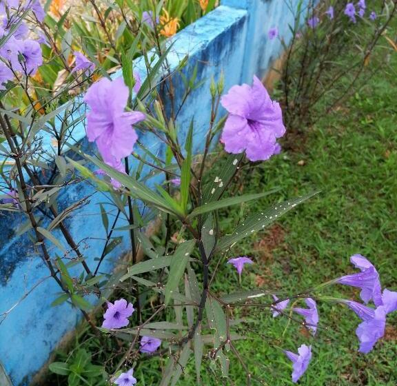 هتل کپسول Campestre La Maria