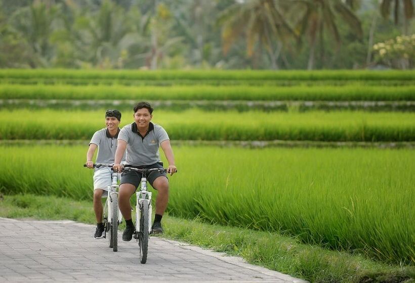 בית מלון כפרי Pondok Sebatu Eco Lodge