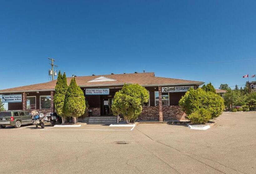 فندق على الطريق Carmel Inn