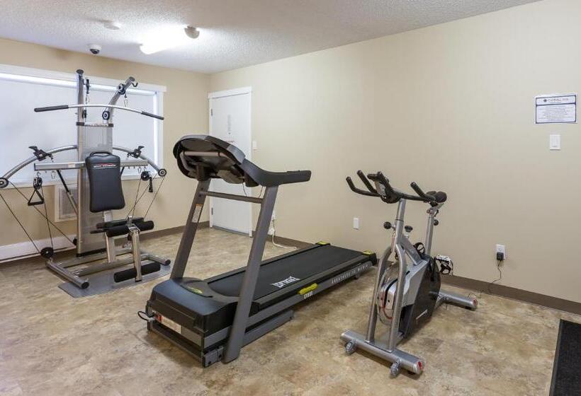 فندق على الطريق Carmel Inn