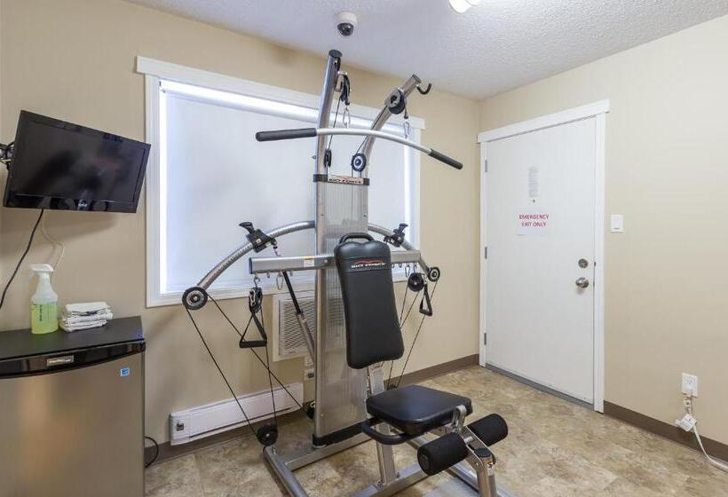 فندق على الطريق Carmel Inn