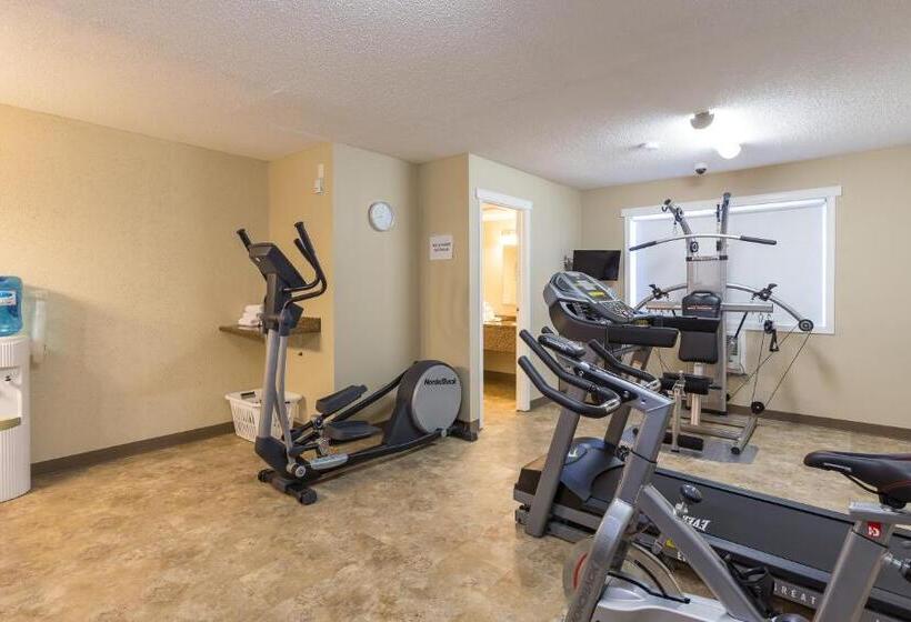 فندق على الطريق Carmel Inn