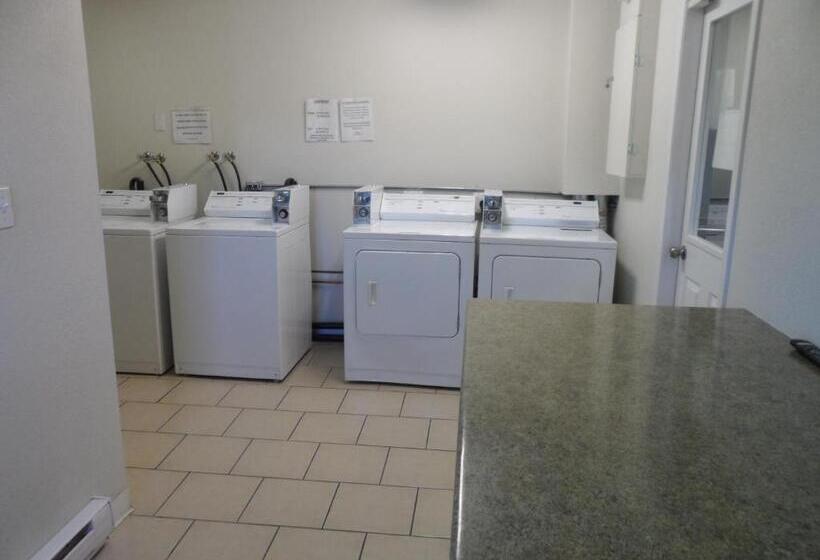 فندق على الطريق Carmel Inn